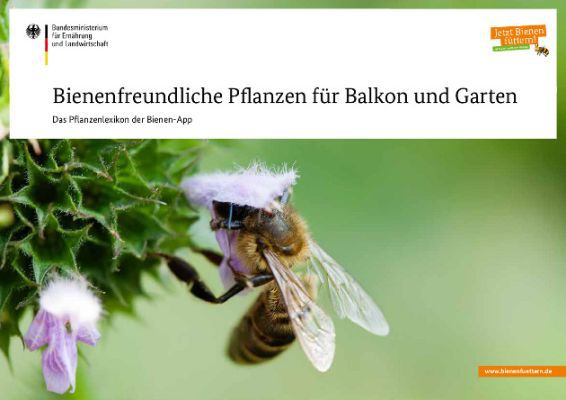 Gratis: Bienenfreundliche Pflanzen   Das Lexikon für Balkon, Garten und andere Pflanzenorte