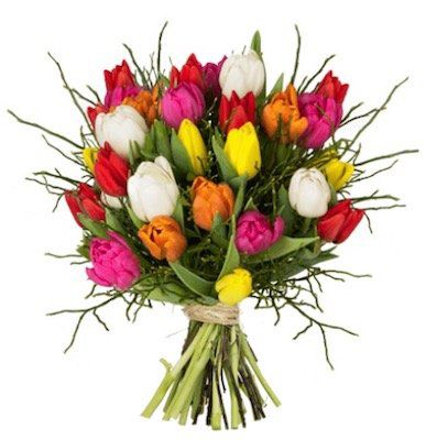 20 bunte Tulpen aufgebunden mit Heidelbeeren für 19,98€