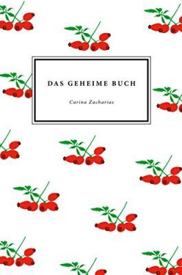 Das geheime Buch (Kindle Ebook) gratis