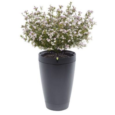 PARROT Pot   App gesteuerter Smart Blumentopf für 27,98€