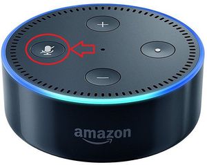 Amazon Echo Datenschutz   wann hört Alexa mit?