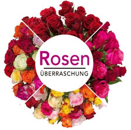 35 Rosen in Überraschungsfarbe mit 50cm Länge für 25,98€