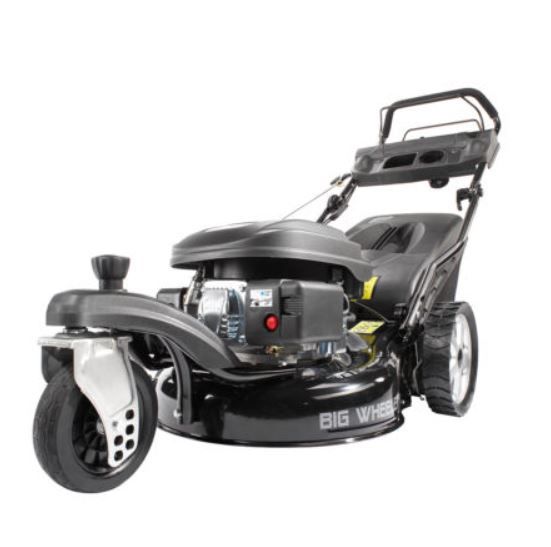 Big wheel trike on sale
