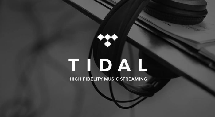 180 Tage Tidal kostenlos testen   Kündigung notwendig