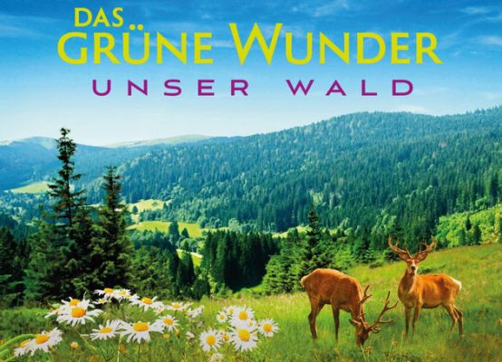 Das grüne Wunder – Unser Wald​ (Doku) kostenlos in der NDR Mediathek