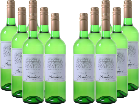 12er Paket Picadora   Sauvignon Blanc   Central Valley für 45€