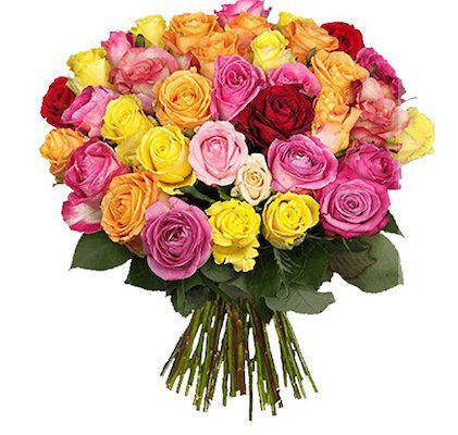 39 Shiny Roses in bunter Ausführung für nur 22,98€