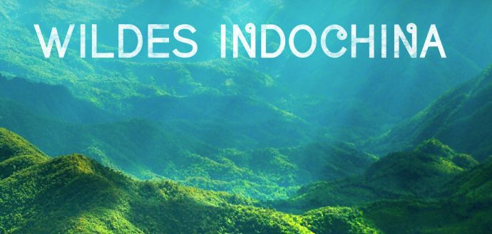 Wildes Indochina (Doku, IMDb 8,4/10) kostenlos in der 3SAT Mediathek