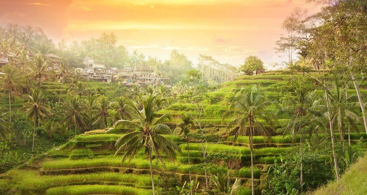 Bali Rundreise: 14 ÜN inkl. Frühstück, geführte Ausflüge, Transfers und Flüge ab 1.179€ p.P.