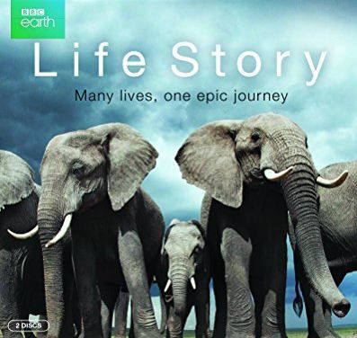 Life Story (Doku, IMDb 9,1/10) kostenlos in der ARD Mediathek