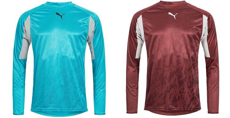 PUMA V1.06 Goalkeeper Jersey Torwarttrikot (700255 01) für 6,17€ (statt 11€)