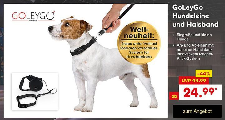 GOLEYGO Set aus Leine & Halsband ab 24,95€ aktuelles Höhle der Löwen Angebot