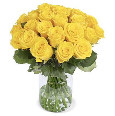 50 gelbe Rosen für 24,98€ inkl. Versand