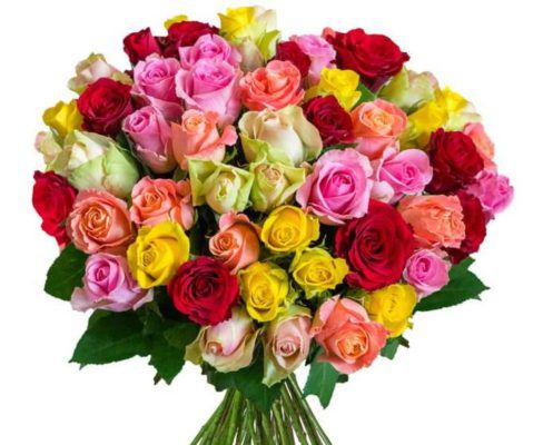 HappyRoses Blumenstrauß mit 50 bunten Rosen für 24,99€