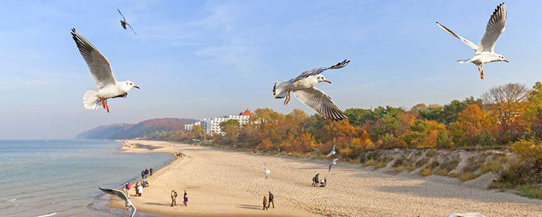 ÜN an der polnischen Ostsee im 4* Hotel inkl. Frühstück, Sauna & mehr ab 24,95€