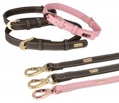 DOGNESS Hundehalsband aus Leder in zwei Größen ab 12,99€ (statt 20€)