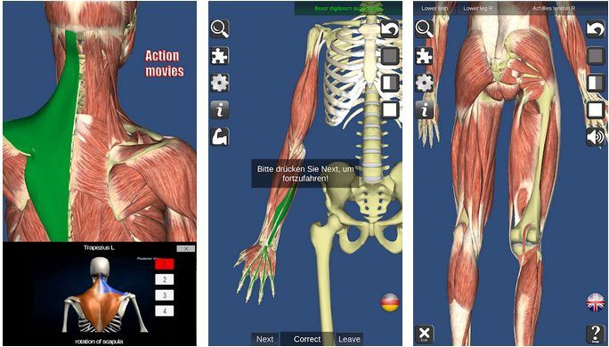 Gratis: Visual Muscles 3D für Android (statt 1,99€)