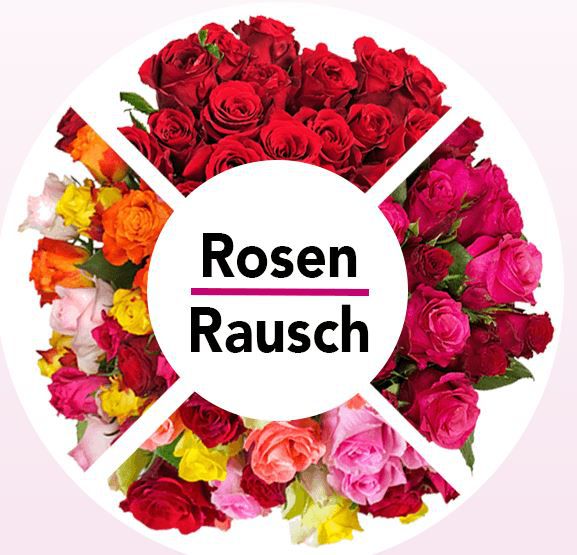 Rosenrausch:  bis 33 rote Rosen [Fairtrade] für nur 19,98€