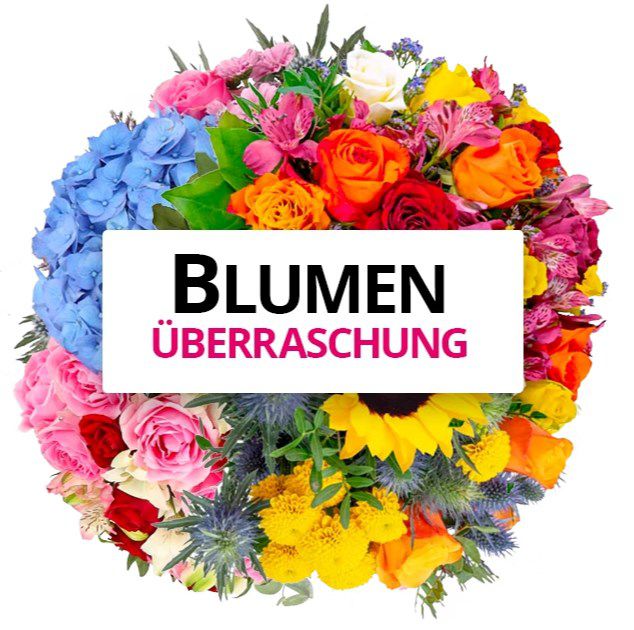 Blumen Überraschung für nur 24,98€ (statt 37€)