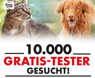 Katzen  und Hundefutter von Nutro gratis ausprobieren