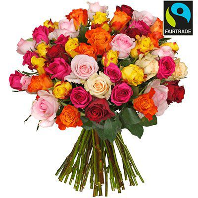 Rosenstrauß „HappyNewYear“ mit 44 bunten Rosen [Fairtrade] für 23,98€
