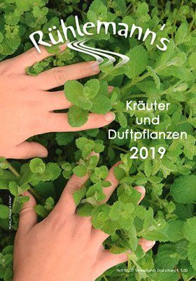 Kräuter  und Duftpflanzen Katalog 2019 kostenlos downloaden