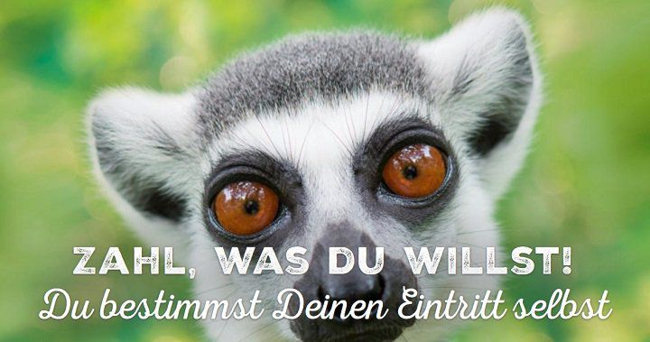 Allwetterzoo Münster: Ab dem 15.12.2018 „Zahl, was du willst!