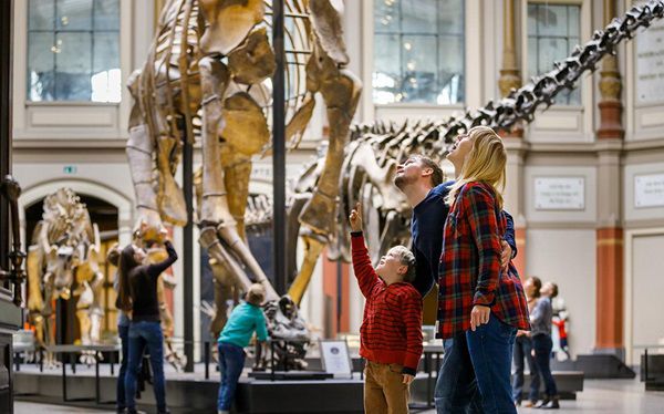 Jeder erster Sonntag im Monat freier Eintritt ins Berliner Museum für Naturkunde