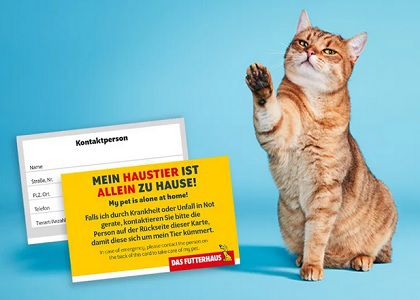 Kostenlos: Notfallkarte für Tiere bei Futterhaus