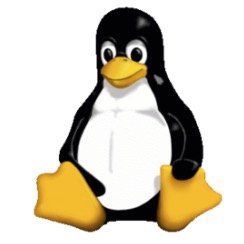 Udemy Kurs: Linux for Absolute Beginners! vollkommen kostenlos (statt 194€)