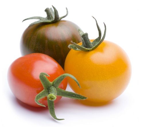 🍅 Heinrich Böll Stiftung: Gratis Open Source Tomatensamen