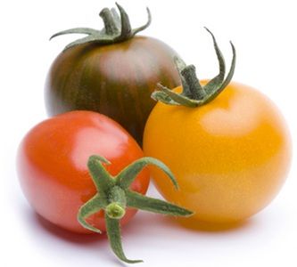 🍅 Heinrich Böll Stiftung: Gratis Open-Source-Tomatensamen