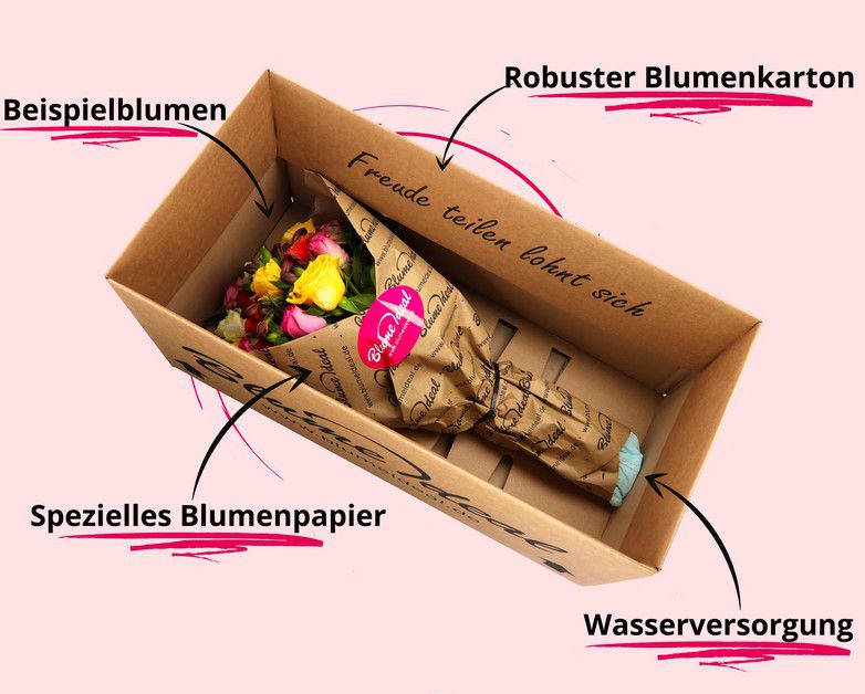 Rosenüberraschung: 50 bunte Rosen bis 50cm für 30,48€