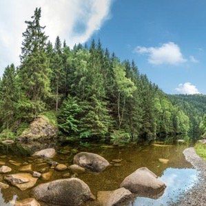 2 ÜN im Harz inkl. Halbpension & Wellness ab 83€ p.P.