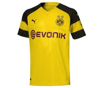 Puma BVB Heim Trikot Herren 2018/2019 bis XL für 19,99€ (statt 27€)