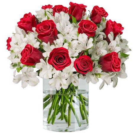 15 rote Rosen und 15 Inkalilien mit bis zu 150 Blüten für 24,98€