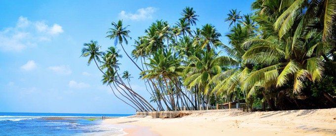 15 Tage Sri Lanka Rundreise mit Badeurlaub im 4* Hotel (94%) ab 1.489€ p.P.
