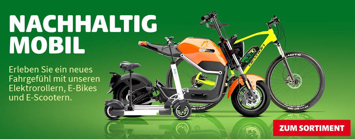 Hagebaumarkt mit 10% Rabatt auf (fast) Alles z.B. E Bike E3800 Dreirad 20 km/h für 1.341€ (statt 1.448€)