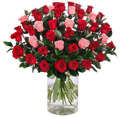 43 Rosen im XXL Rosenarrangement für 24,98€