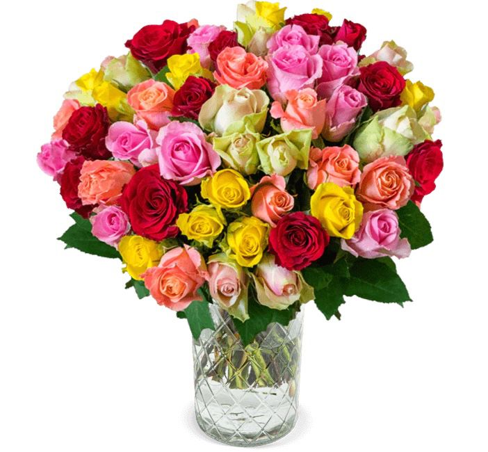 Rainbow Roses 41 bunte Rosen für 27,48€