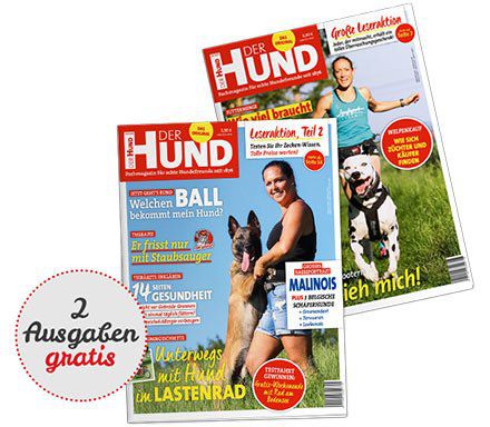 2 Ausgaben Der Hund  gratis – die Kündigung ist aber notwendig