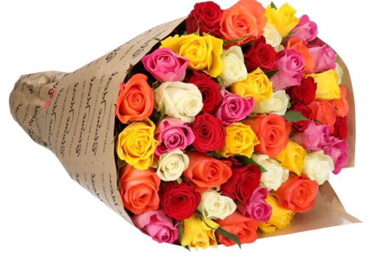 31 bunte Rosen mit 50cm Länge für 23,98€
