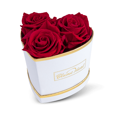 Infinity Rosenboxen mit 3 Ewigen Rosen für 31,48€