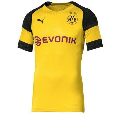 Borussia Dortmund Herren evoKNIT Authentic Heimtrikot 2018/19 für 25,98€ (statt 40€)