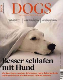 DOGS Magazin für Hundebesitzer im Jahresabo für 39€ + Prämie: z.B. 25€ Amazon Gutschein