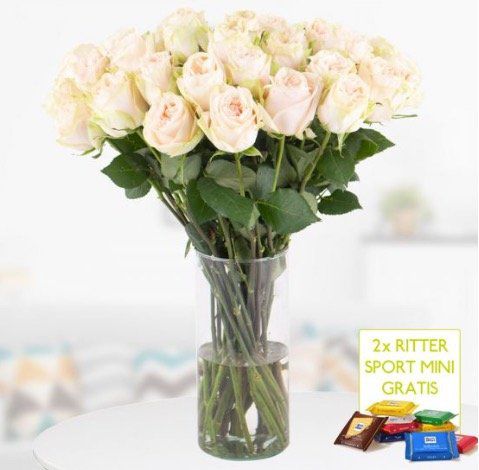 30 Premium Rosen Cream mit XXL Doppelblüte + 2 Mini Schokis für 24,90€