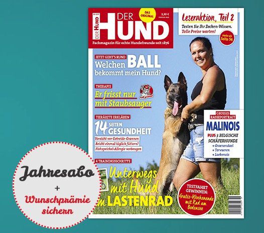 Jahresabo Der Hund für 39€ inkl. 20€ Gutscheinprämie