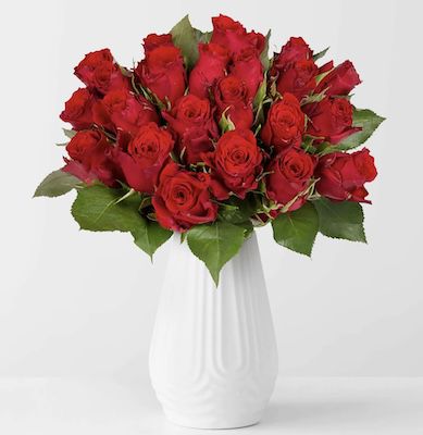 Valentinstag: 20 rote Rosen mit 40cm Länge für 16,17€ inkl. Lieferung