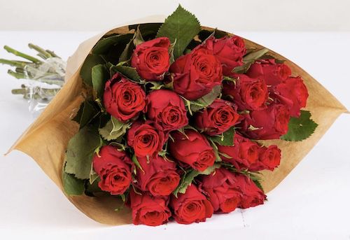 Valentinstag: 20 rote Rosen mit 40cm Länge für 16,17€ inkl. Lieferung
