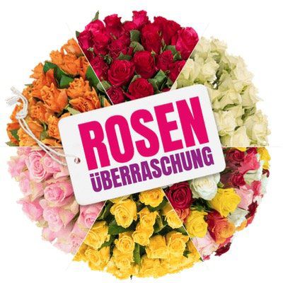 Rosenüberraschung mit 50 bunten Rosen mit 50cm Länge für 27,98€